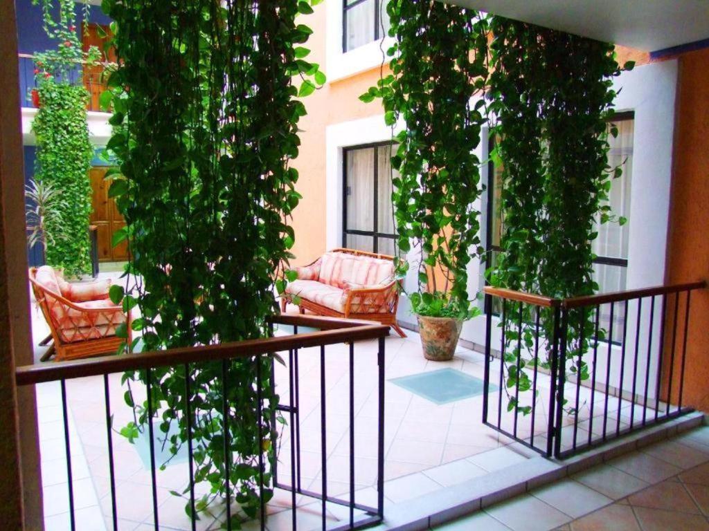 Hotel Oaxaca Dorado المظهر الخارجي الصورة